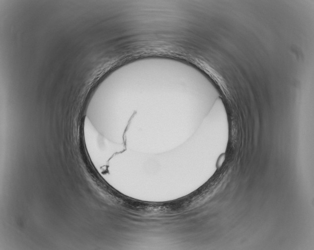 X0000111660493200908141317