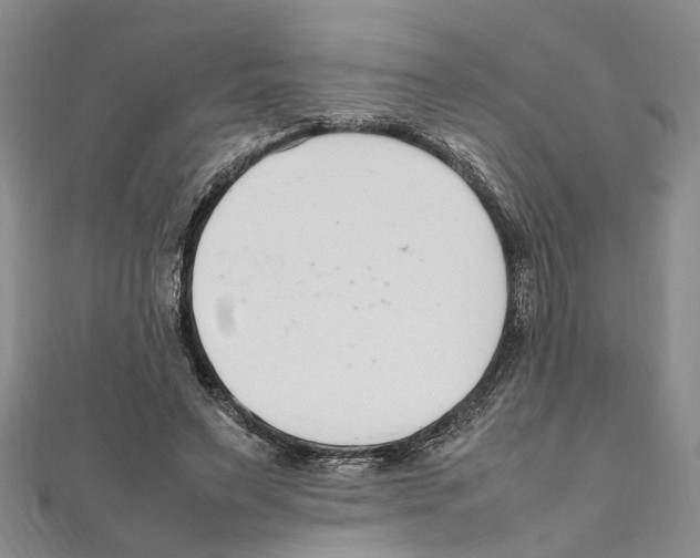 X0000111660495200908141317