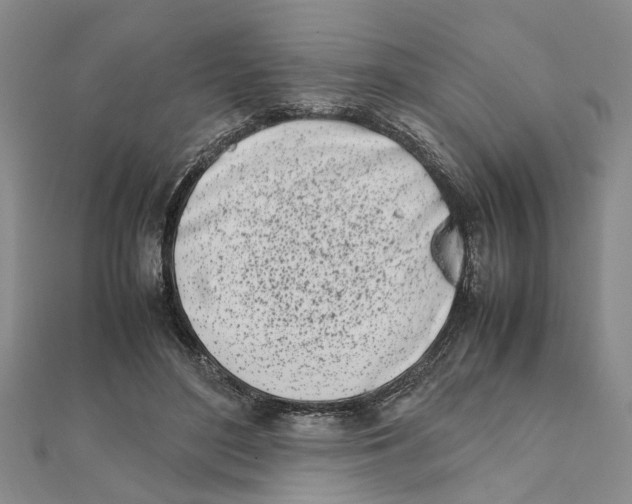 X0000111660500200908141316