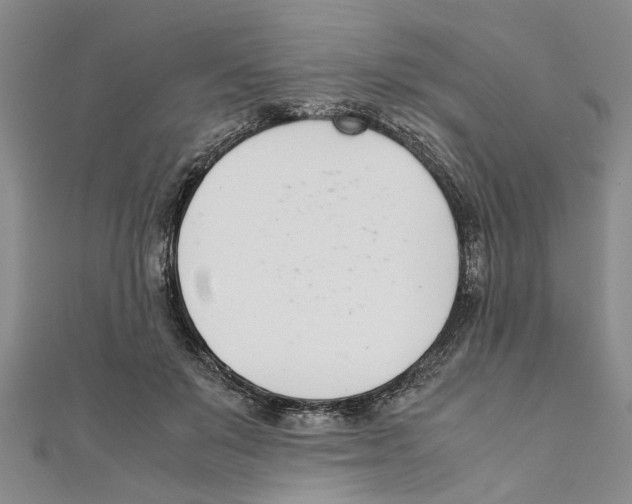 X0000111660503200908141316