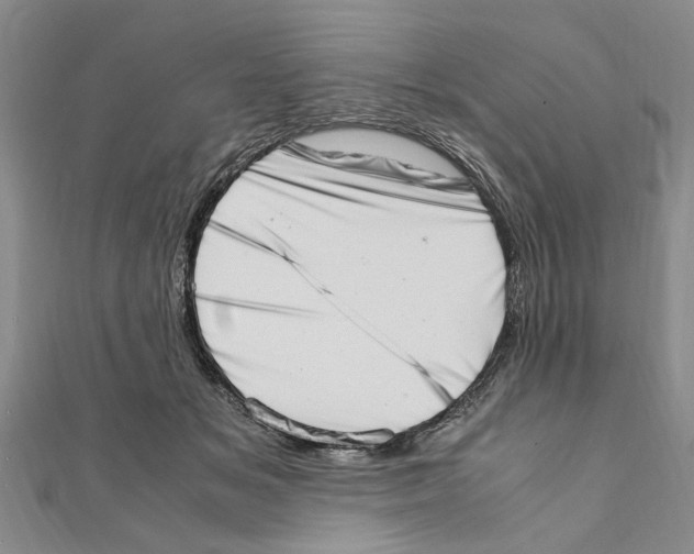 X0000111660509200908141316