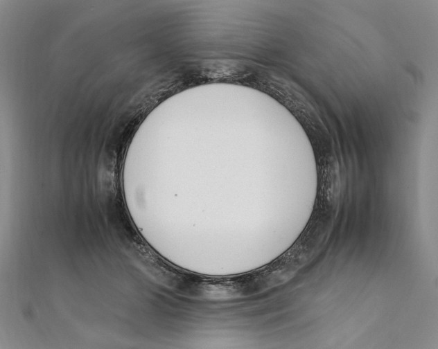 X0000111660510200908141316