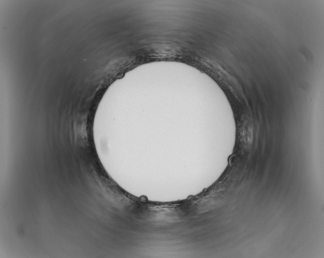 X0000111660516200908141316