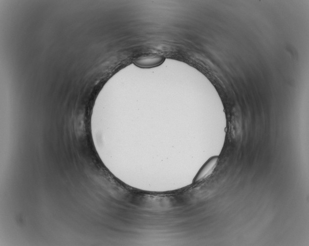 X0000111660520200908141316