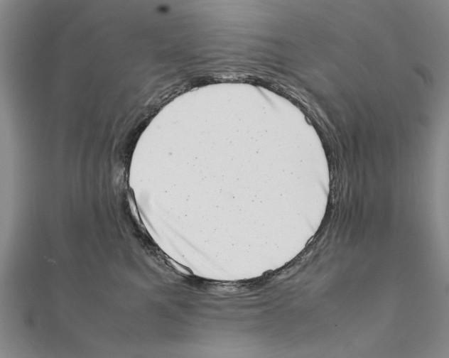 X0000111660521200908141316