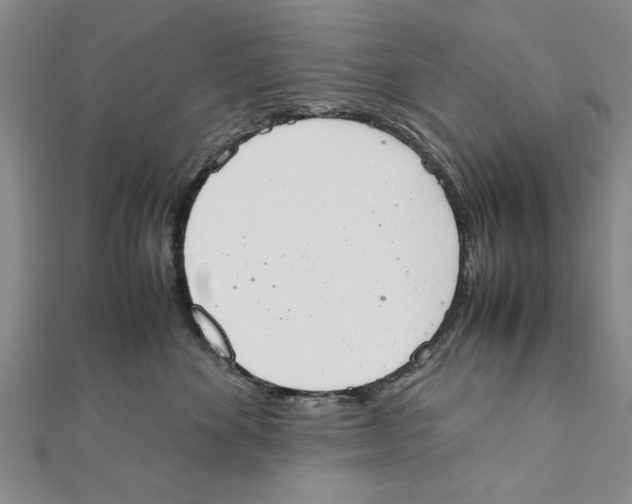 X0000111660524200908141316