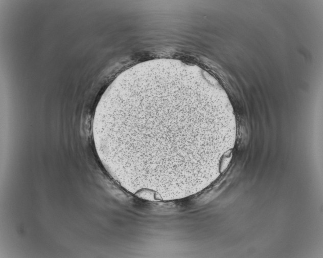 X0000111660525200908141316