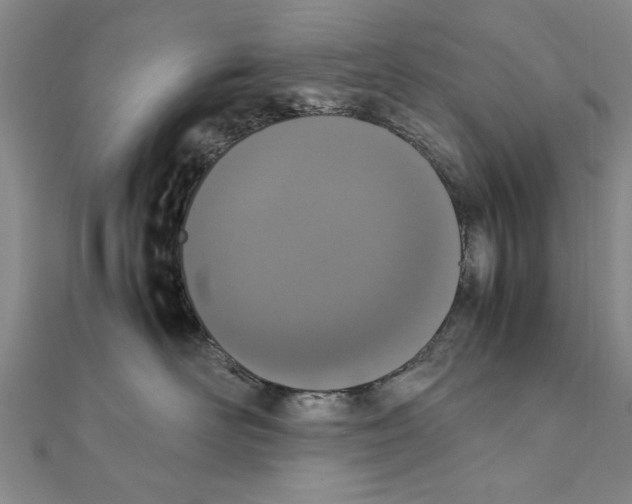 X0000111660526200908141316