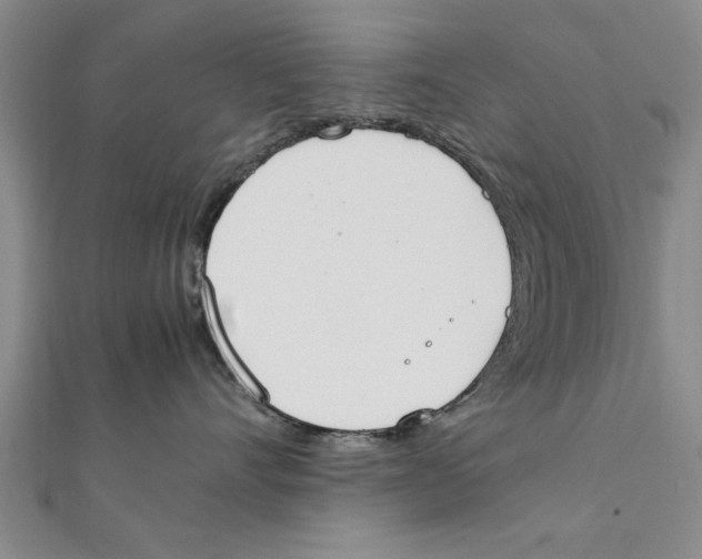 X0000111660528200908141316