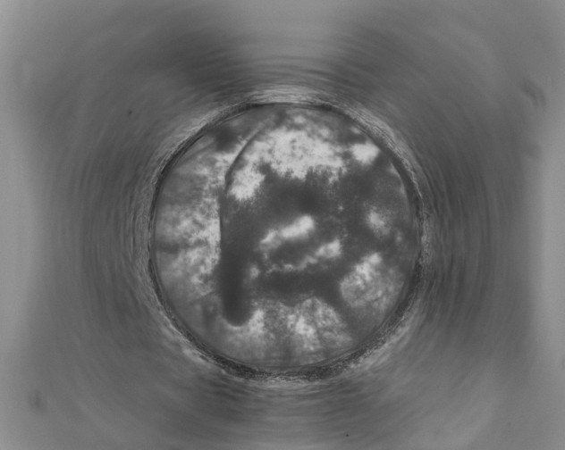 X0000111660529200908141316