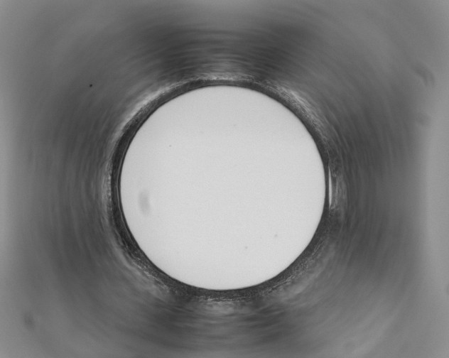 X0000111660531200908141316