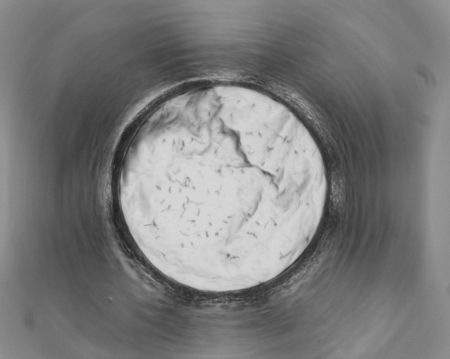 X0000111660532200908141316