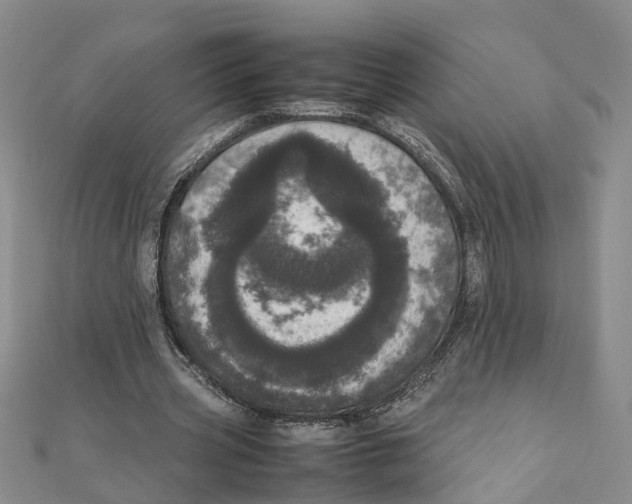 X0000111660533200908141316