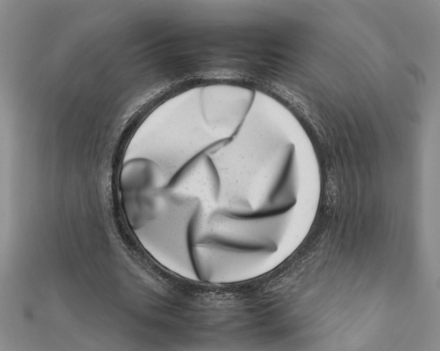 X0000111660535200908141316