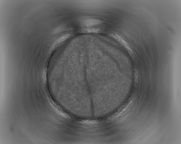 X0000111660537200908141316