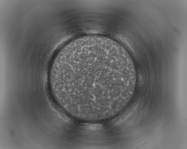 X0000111660539200908141316