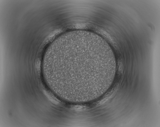 X0000111660542200908141316