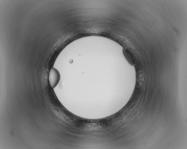 X0000111660544200908141316