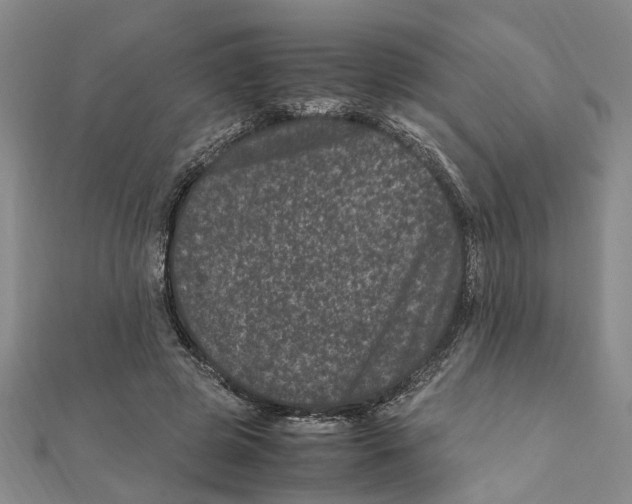 X0000111660545200908141316