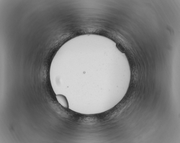 X0000111660546200908141316