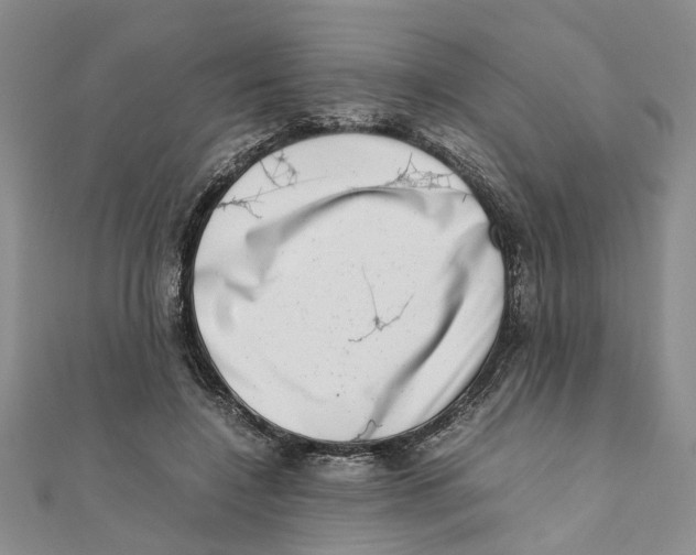 X0000111660548200908141316