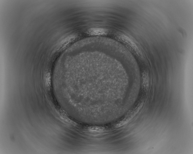 X0000111660549200908141316