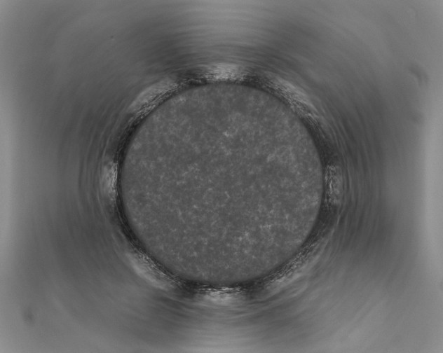 X0000111660550200908141316