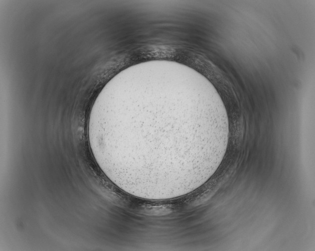 X0000111660553200908141316