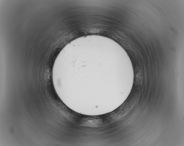 X0000111660555200908141316