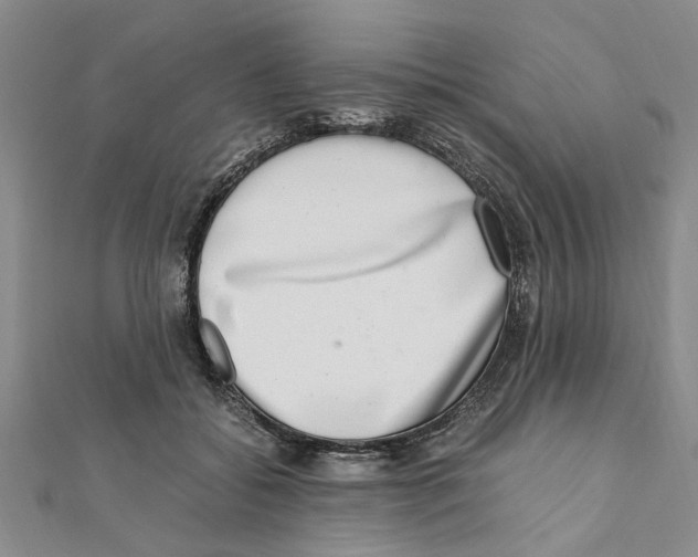 X0000111660556200908141316