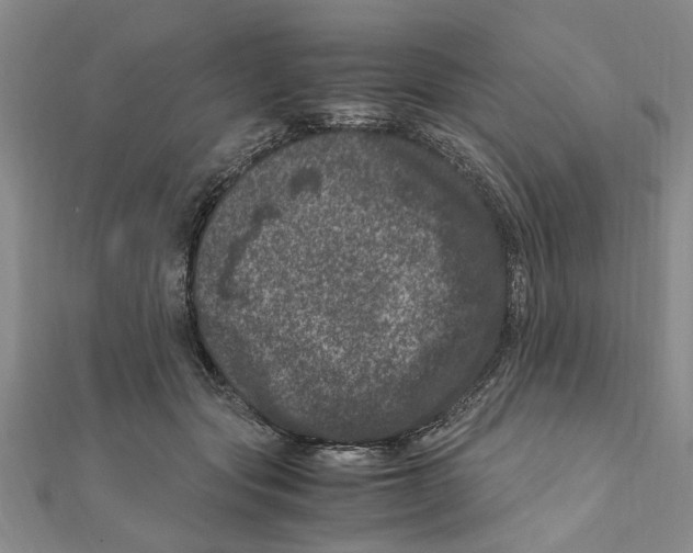 X0000111660557200908141316