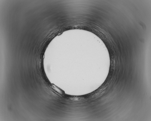 X0000111660558200908141316