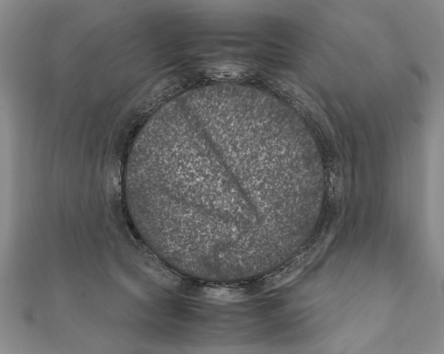 X0000111660561200908141316