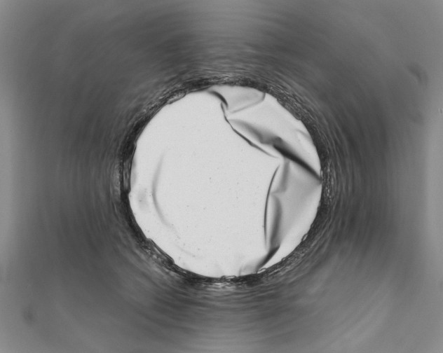 X0000111660562200908141316