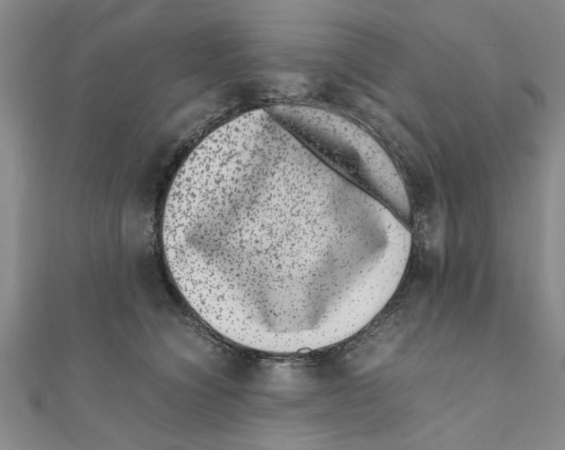 X0000111660564200908141316