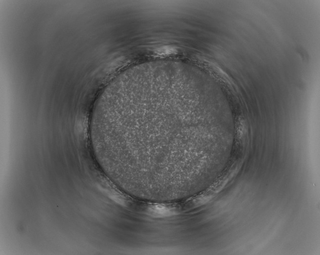 X0000111660565200908141316