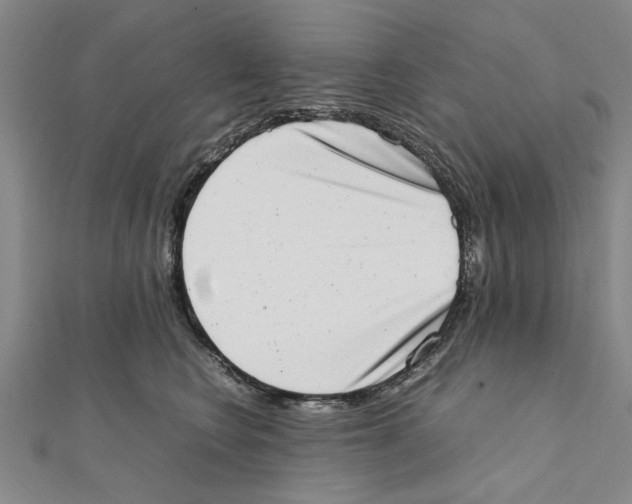 X0000111660566200908141316