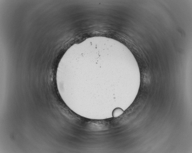 X0000111660567200908141316