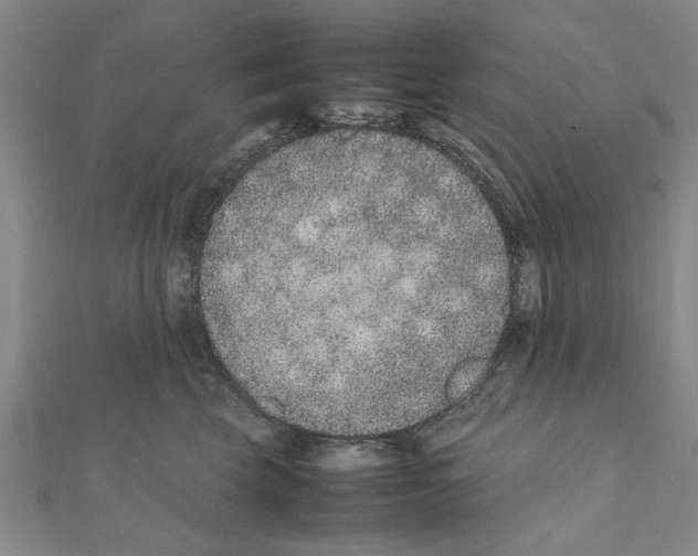 X0000111660569200908141316