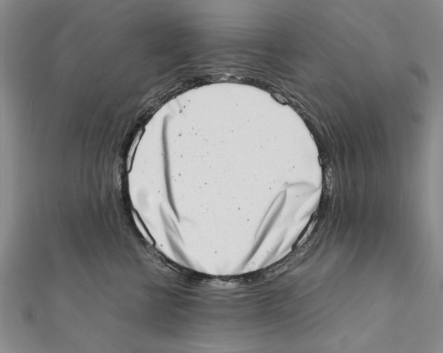 X0000111660570200908141316