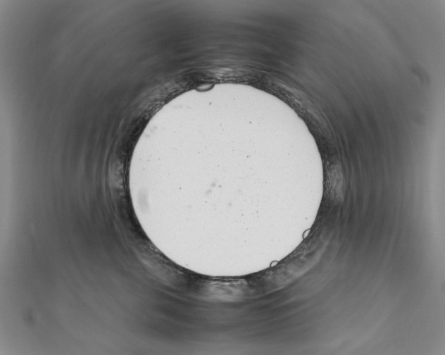 X0000111660571200908141316