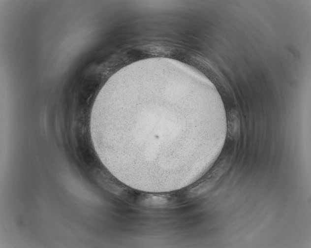 X0000111660573200908141316