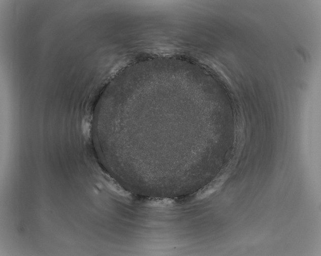 X0000111660576200908141316