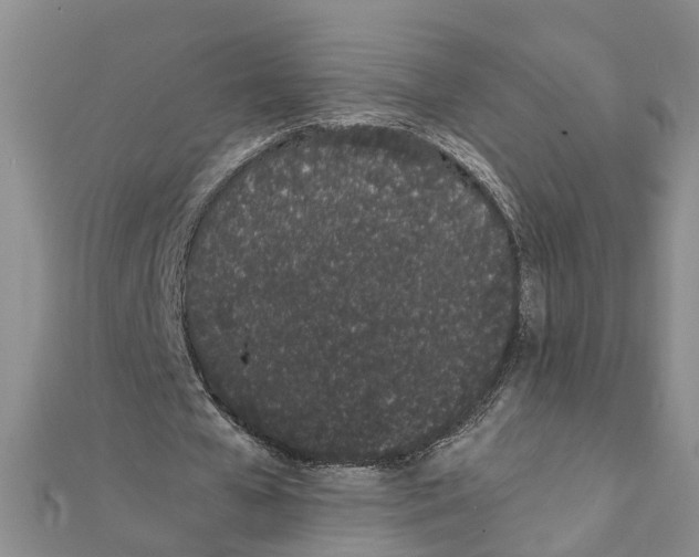 X0000111660577200908141315