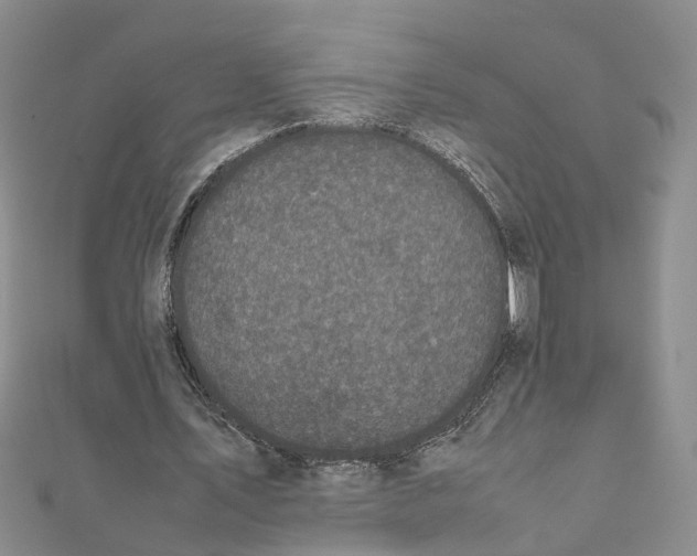 X0000111660579200908141315