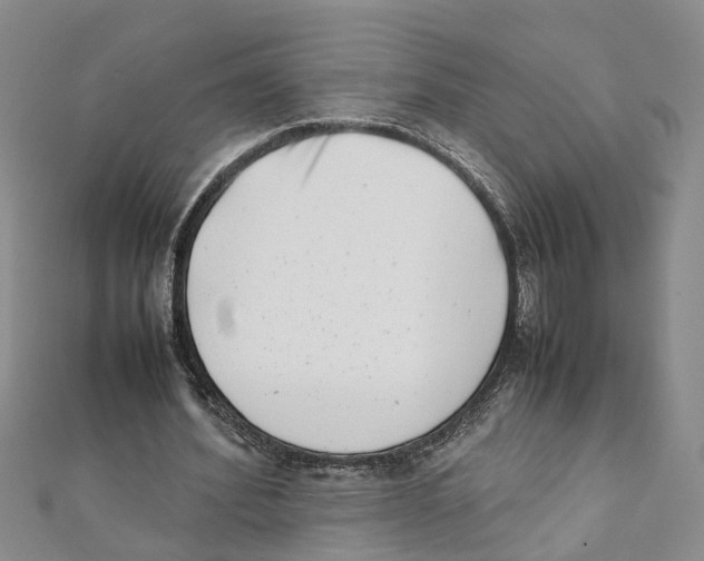 X0000111660580200908141315