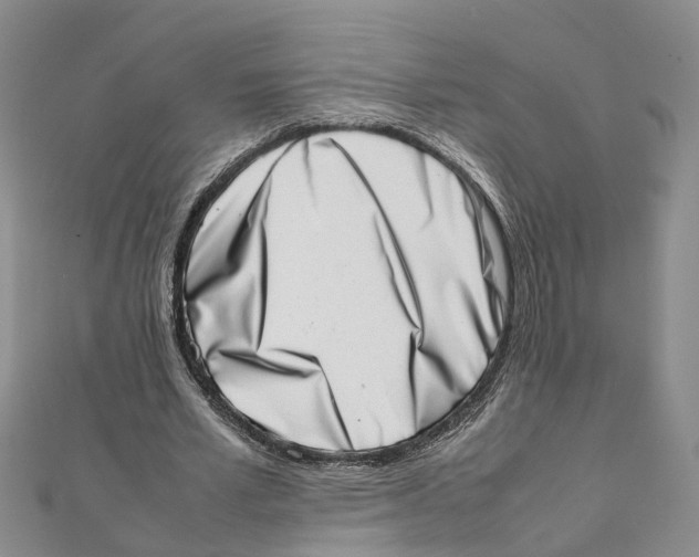 X0000111660581200908141315