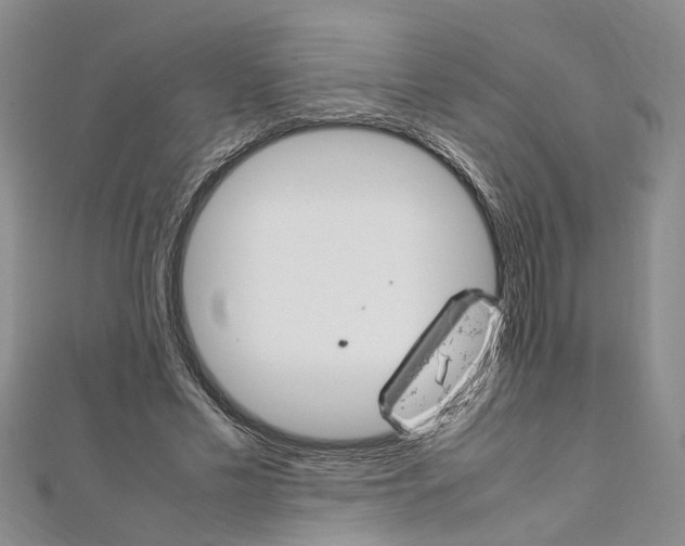 X0000111660589200908141315