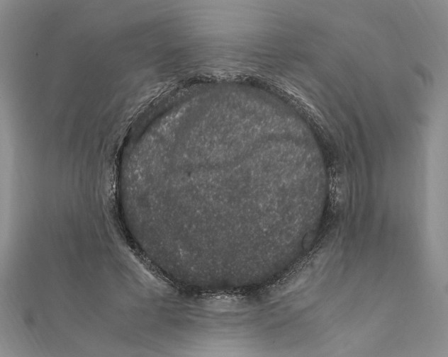 X0000111660593200908141315