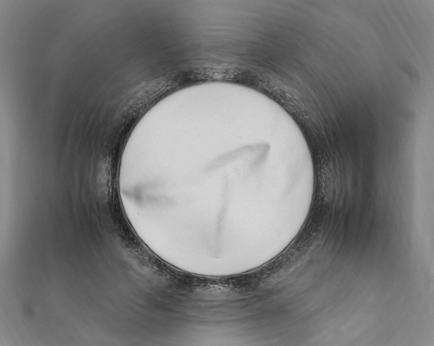 X0000111660594200908141315